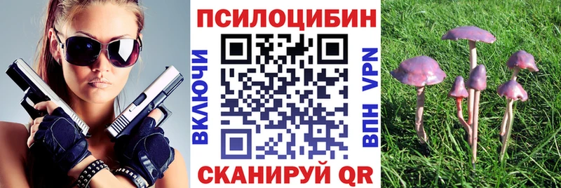 цены   Обь  MEGA сайт  Псилоцибиновые грибы мицелий 